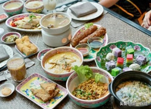 中亚智商排名前十(十大最笨的狗)插图18