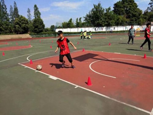 眉山市高新区小学排名前十(眉山最好小学排名前十)插图10