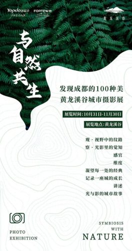 四川防潮软木墙纸排名前十(广东吸音软木墙纸排名前十)插图70