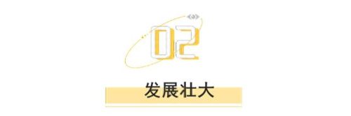 黄牛党是什么意思(八三年为什么会打黑除恶)插图4