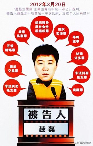 聂磊老婆(聂磊老婆真人照片)插图15