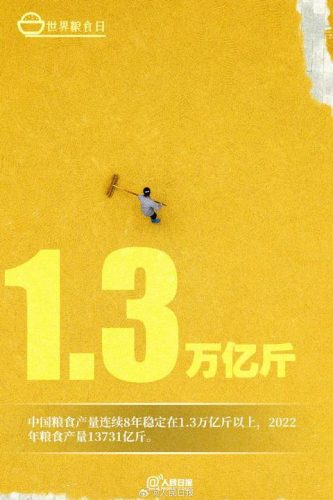 第40个世界粮食日(第40个世界粮食日主题)插图6