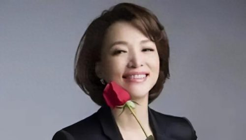 董卿是小三(董卿的孩子是陆毅的吗)插图14