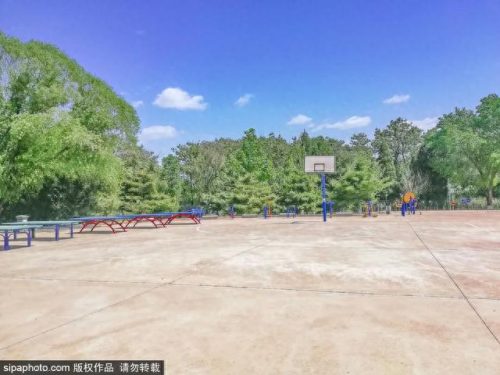 北京西城免费公园排名前十(北京最好免费公园)插图8
