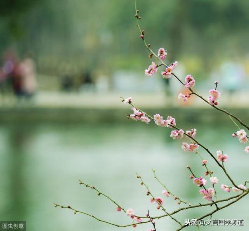随风潜入夜的下一句(随风潜入夜润物细无声)插图