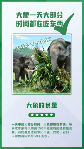 什么的大象(又什么又什么的大象)插图