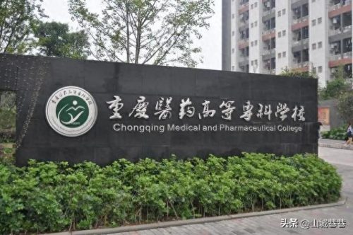 重庆大专排名前十(重庆前五的大专)插图5