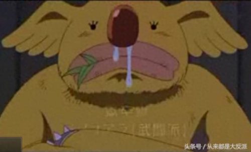 海贼王521集(海贼王521免费看完整版)插图69