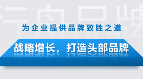 视觉公司排名前十(视觉系统厂家排名)插图27