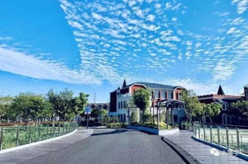 东滩小学排名前十(松江区小学排名一览表)插图8