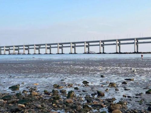 大连海岛旅游排名前十(大连海岛民宿推荐)插图55