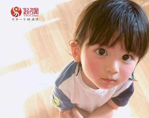 尘埃落定的意思(尘埃落定的近义词)插图1