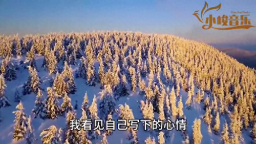 陈慧琳记事本演唱会(周传雄和陈慧琳记事本演唱会版)插图