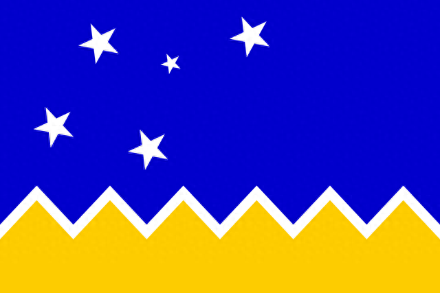 智利国旗(各国国旗)插图15