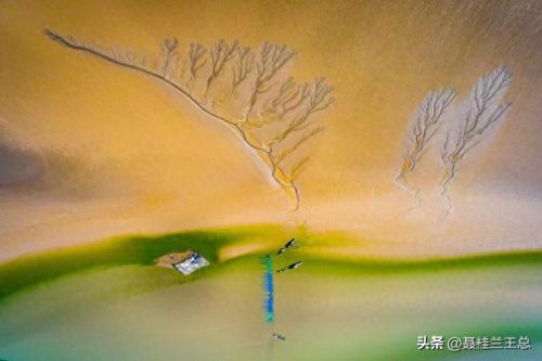 盐城水域排名前十(盐城市省内排名)插图14