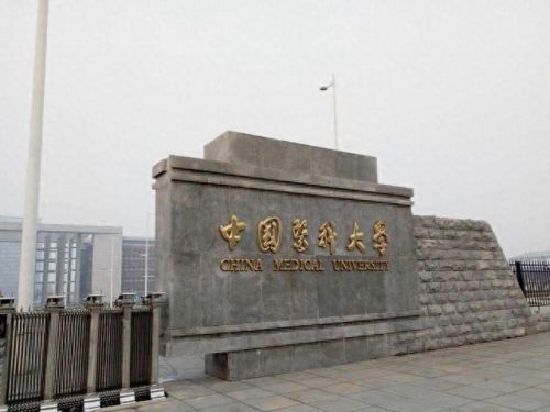 沈阳院校排名前十(沈阳考研培训机构排名)插图3