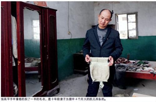 张辉张高平(张高平)插图2
