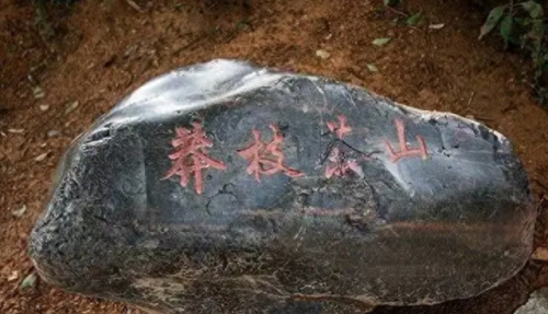 云南茶山排名前十(云南六大茶山排名)插图4