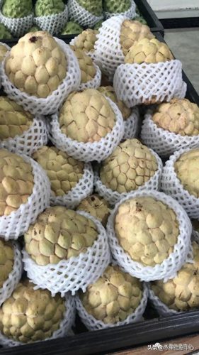 释迦果排名前十(释迦果什么口感最好)插图10