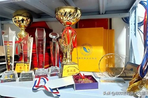 浮漂套装厂家排名前十(国内高档浮漂品牌)插图21