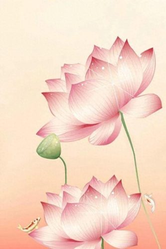 鱼鱼桌面秀(鱼鱼桌面秀侧边栏)插图5