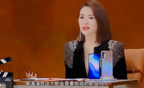 章子怡诈捐门(章子怡)插图19