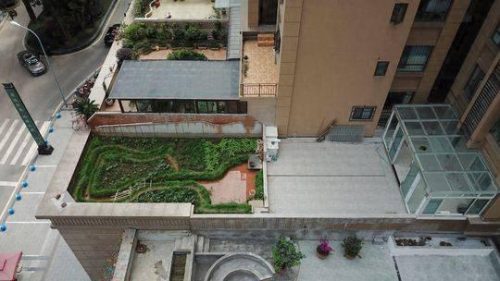 屋顶造空中秧田(屋顶菜园自动灌溉设计)插图2