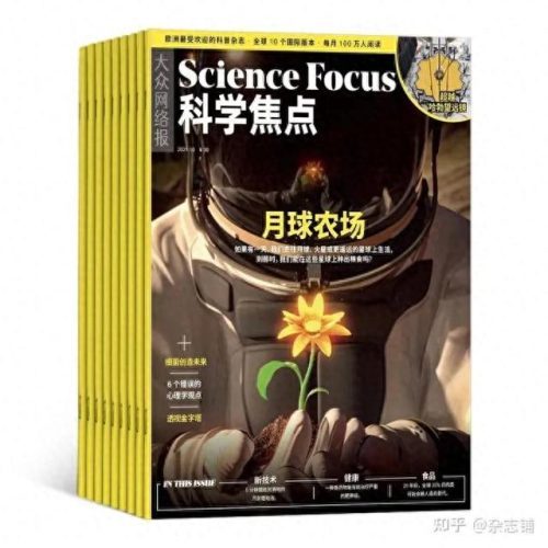 初中作文杂志排名前十(写人作文600字范文初中)插图13