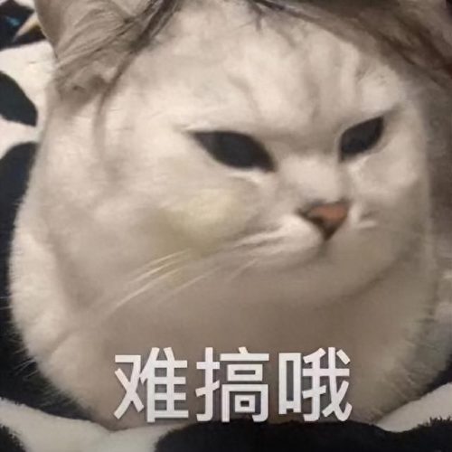 外卖排名前十的(外卖前十名有哪些)插图