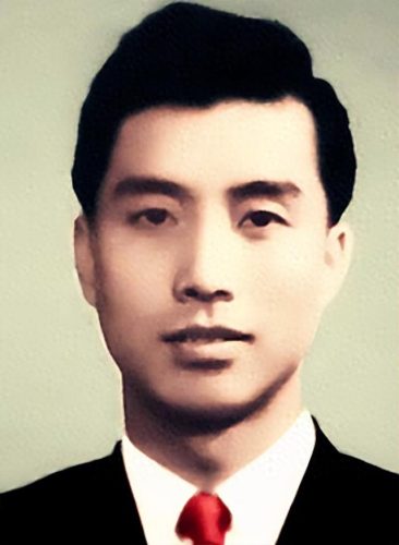 李双江有几个老婆(梦鸽结过几次婚了)插图4