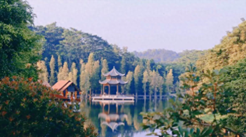 饶平姓氏排名前十(饶平最穷的镇排名)插图