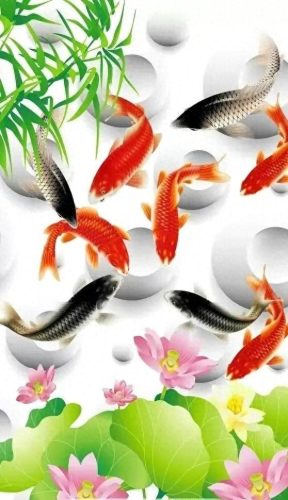 鱼鱼桌面秀(鱼鱼桌面秀侧边栏)插图33