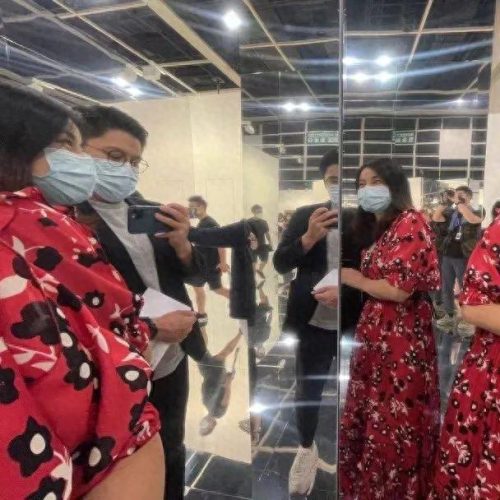 霍启刚公布龙凤胎(霍启刚公布龙凤胎是真的吗)插图1