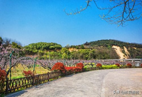 邹平景区排名前十(邹平旅游景点最好的)插图11