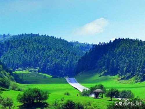 武隆景点排名前十(武隆附近景点有哪些)插图11
