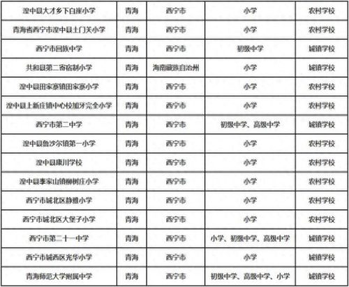 青海省共和县小学排名前十(青海重点小学前十名)插图1