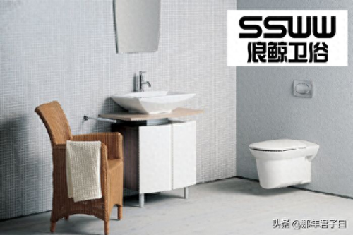 中国排名前十卫浴(排名前十的卫浴)插图6