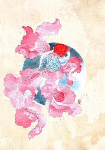 鱼鱼桌面秀(鱼鱼桌面秀侧边栏)插图55