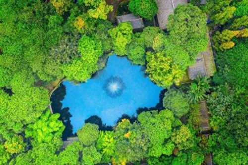 四川防潮软木墙纸排名前十(广东吸音软木墙纸排名前十)插图51