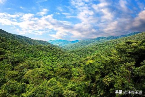 中国文化贸易产品排名前十(中国文化产品排行榜)插图32