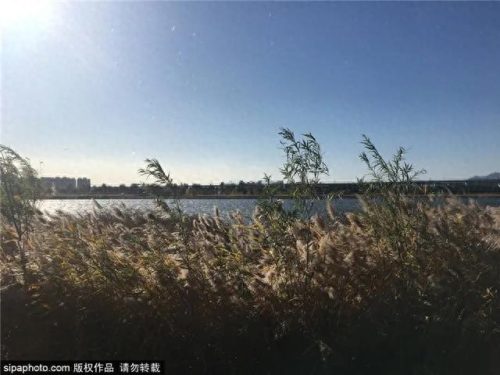 北京西城免费公园排名前十(北京最好免费公园)插图24
