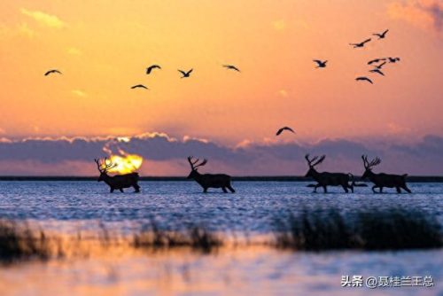 盐城水域排名前十(盐城市省内排名)插图46