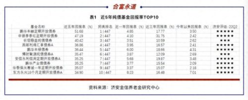 排名前十的债券(排名第一的纯债券基金)插图