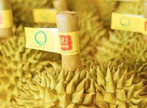 进口前十水果排名(最有名水果进口品牌)插图2