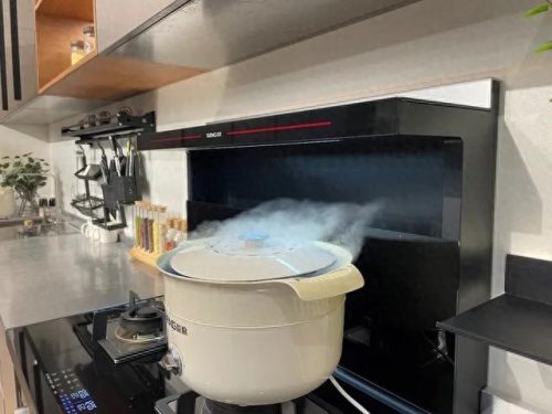 排名前十的集成灶有帅丰吗(帅丰集成灶是十大品牌之一吗)插图9