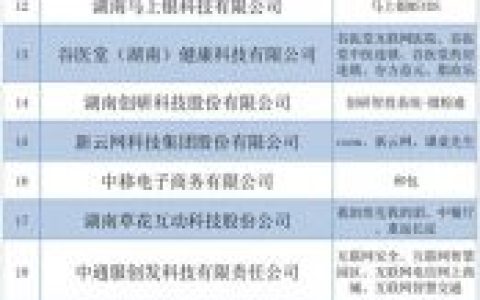 长沙互联网大厂排名前十(互联网大厂排名前十)