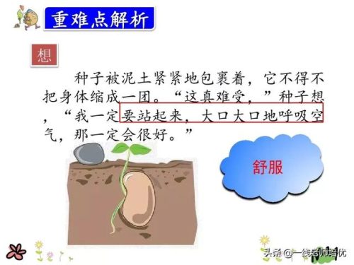 拂动是什么意思(拂动是拟声词吗)插图17