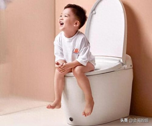 马桶智商排名前十(日本马桶盖智商)插图17