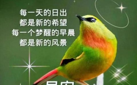 521创意图片(521有意思的图片)