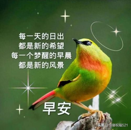 521创意图片(521有意思的图片)插图